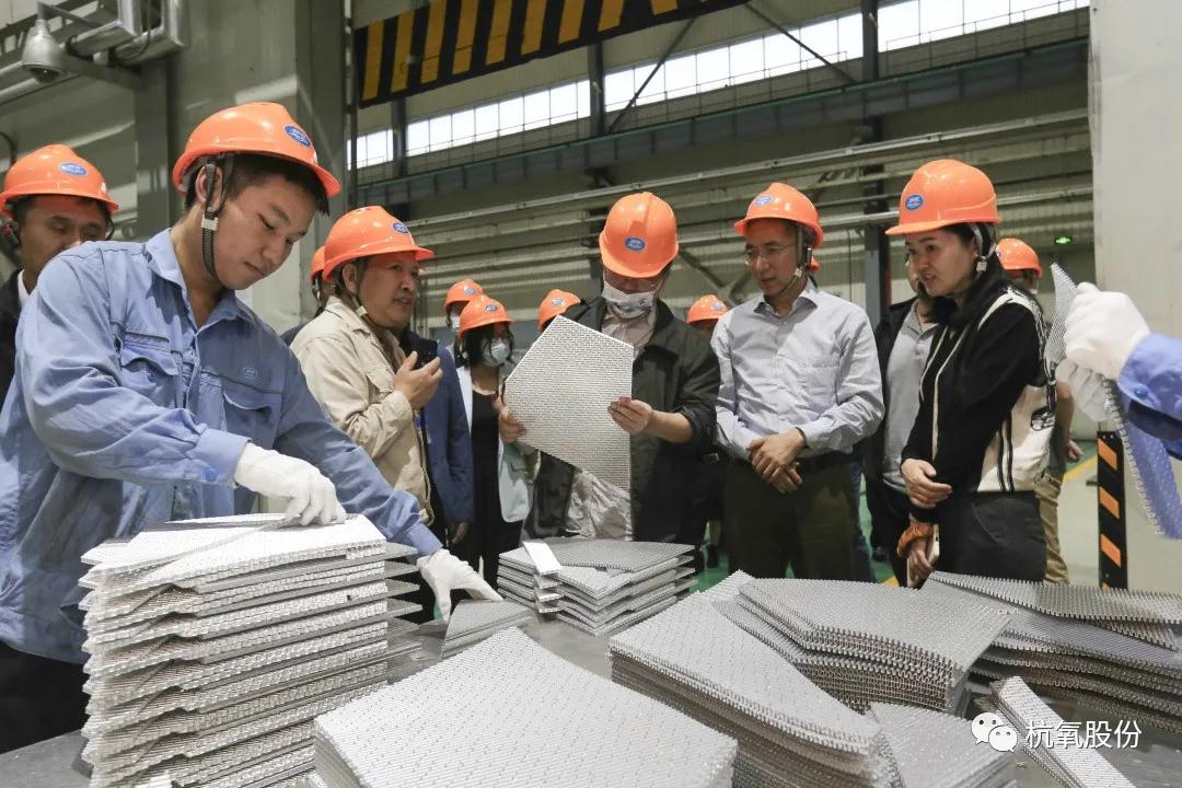 工信部?jī)?yōu)質(zhì)企業(yè)培育調(diào)研組在杭氧調(diào)研(圖2)